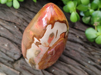 Polished Polychrome Jasper Standing Free Forms x 3 From Mahajanga, Madagascar