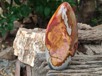 Polished Polychrome Jasper Standing Free Forms x 3 From Mahajanga, Madagascar