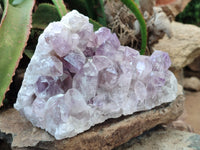 Natural Jacaranda Amethyst Quartz Cluster x 1 From Mumbwa, Zambia