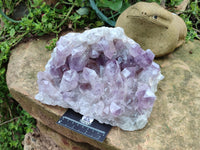 Natural Jacaranda Amethyst Quartz Cluster x 1 From Mumbwa, Zambia