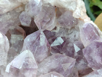 Natural Jacaranda Amethyst Quartz Cluster x 1 From Mumbwa, Zambia