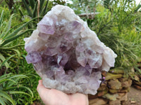 Natural Jacaranda Amethyst Quartz Cluster x 1 From Mumbwa, Zambia