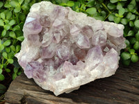 Natural Jacaranda Amethyst Quartz Cluster x 1 From Mumbwa, Zambia