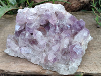 Natural Jacaranda Amethyst Quartz Cluster x 1 From Mumbwa, Zambia