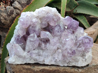 Natural Jacaranda Amethyst Quartz Cluster x 1 From Mumbwa, Zambia