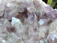 Natural Jacaranda Amethyst Quartz Cluster x 1 From Mumbwa, Zambia