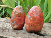 Polished Red Jasper Standing Free Forms x 4 From Madagascar