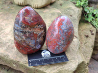 Polished Red Jasper Standing Free Forms x 4 From Madagascar