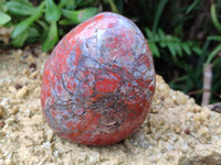 Polished Red Jasper Standing Free Forms x 4 From Madagascar