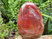 Polished Red Jasper Standing Free Forms x 4 From Madagascar