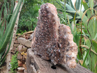 Natural Hematoid Quartz Cluster x 1 From Zambia