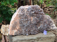 Natural Hematoid Quartz Cluster x 1 From Zambia