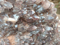 Natural Hematoid Quartz Cluster x 1 From Zambia