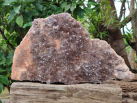 Natural Hematoid Quartz Cluster x 1 From Zambia