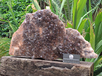 Natural Hematoid Quartz Cluster x 1 From Zambia