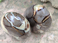 Polished Septerye Standing Free Forms x 2 From Mahajanga, Madagascar