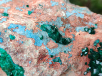 Natural Dioptase Cabinet Specimen with Shattuckite x 1 From Congo