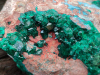 Natural Dioptase Cabinet Specimen with Shattuckite x 1 From Congo