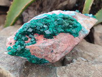 Natural Dioptase Cabinet Specimen with Shattuckite x 1 From Congo