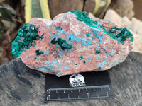 Natural Dioptase Cabinet Specimen with Shattuckite x 1 From Congo