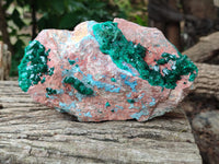 Natural Dioptase Cabinet Specimen with Shattuckite x 1 From Congo