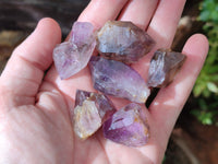 Natural Royal Zulu Amethyst Crystals x 35 from KwaZulu Natal, South Africa