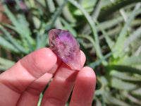 Natural Royal Zulu Amethyst Crystals x 35 from KwaZulu Natal, South Africa