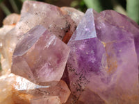 Natural Jacaranda Amethyst Quartz Clusters x 2 from Mumbwa, Zambia