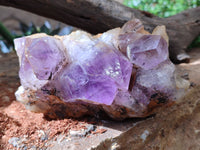 Natural Jacaranda Amethyst Quartz Clusters x 2 from Mumbwa, Zambia