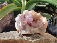 Natural Jacaranda Amethyst Quartz Clusters x 2 from Mumbwa, Zambia