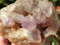 Natural Jacaranda Amethyst Quartz Clusters x 2 from Mumbwa, Zambia