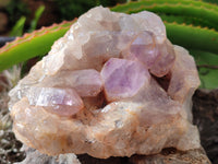 Natural Jacaranda Amethyst Quartz Clusters x 2 from Mumbwa, Zambia