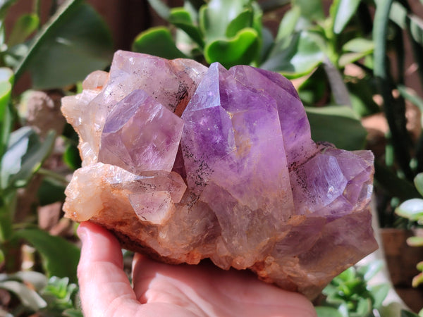 Natural Jacaranda Amethyst Quartz Clusters x 2 from Mumbwa, Zambia