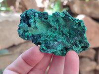 Natural Silky Malachite Specimens x 12 From Kasompe, Congo