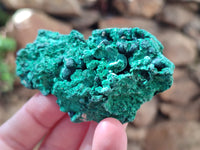 Natural Silky Malachite Specimens x 12 From Kasompe, Congo