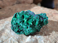 Natural Silky Malachite Specimens x 12 From Kasompe, Congo