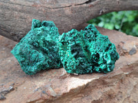 Natural Silky Malachite Specimens x 12 From Kasompe, Congo