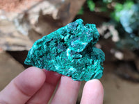 Natural Silky Malachite Specimens x 12 From Kasompe, Congo