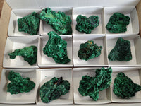 Natural Silky Malachite Specimens x 12 From Kasompe, Congo