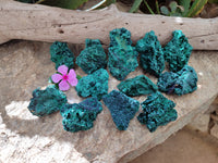 Natural Silky Malachite Specimens x 12 From Kasompe, Congo