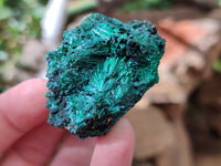 Natural Silky Malachite Specimens x 12 From Kasompe, Congo