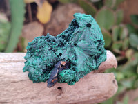 Natural Silky Malachite Specimens x 12 From Kasompe, Congo