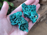 Natural Silky Malachite Specimens x 12 From Kasompe, Congo