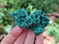 Natural Silky Malachite Specimens x 12 From Kasompe, Congo