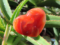 Polished Carnelian Gemstone Hearts x 4 From Madagascar