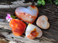 Polished Carnelian Gemstone Hearts x 4 From Madagascar