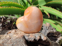 Polished Carnelian Gemstone Hearts x 4 From Madagascar