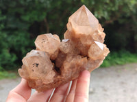 Natural Smokey Phantom Quartz Clusters x 3 From Luena, Congo