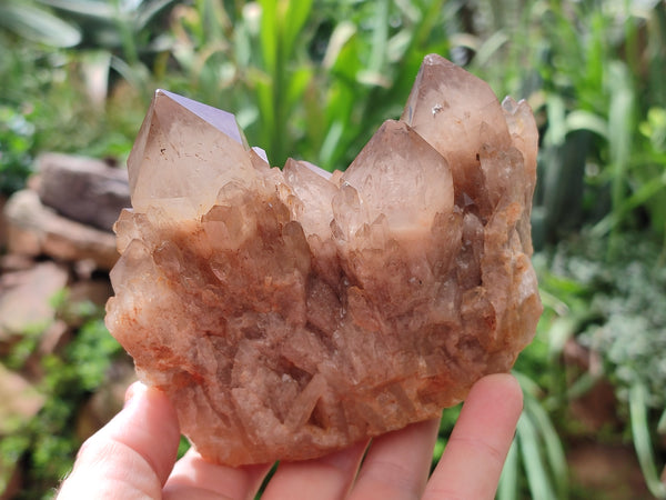 Natural Smokey Phantom Quartz Clusters x 3 From Luena, Congo