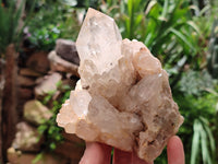 Natural Smokey Phantom Quartz Clusters x 3 From Luena, Congo